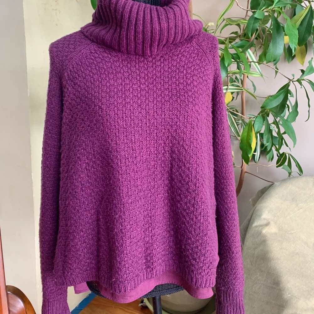 The Limited Eggplant Color Sweater